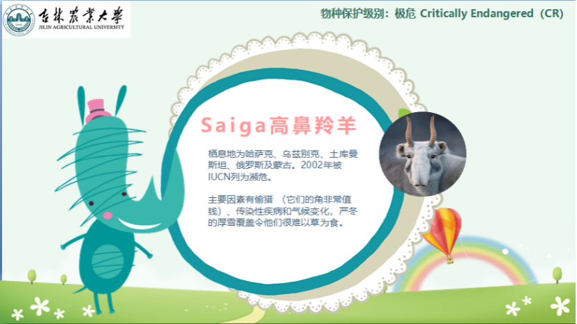 图片[7]-「云上」走进动物世界之动物与人-氢创项目设计研究所