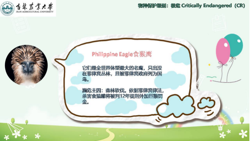 图片[8]-「云上」走进动物世界之动物与人-氢创项目设计研究所