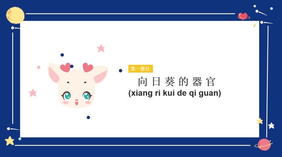 图片[10]-「云上」太阳花：向下扎根，向阳生长-氢创项目设计研究所