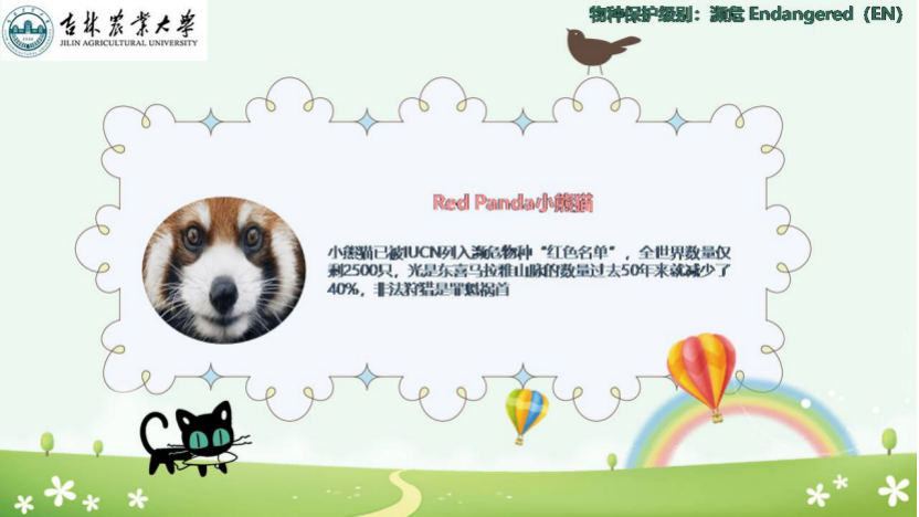 图片[11]-「云上」走进动物世界之动物与人-氢创项目设计研究所