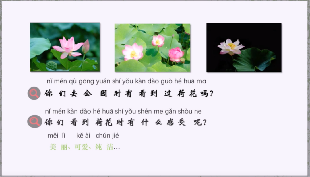 图片[6]-「云上」诗词里的植物之美-氢创项目设计研究所