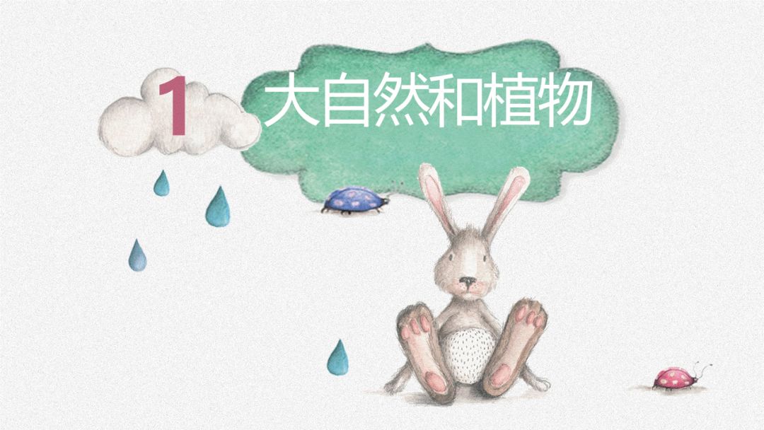 图片[6]-「云上」绿色的生命-氢创项目设计研究所