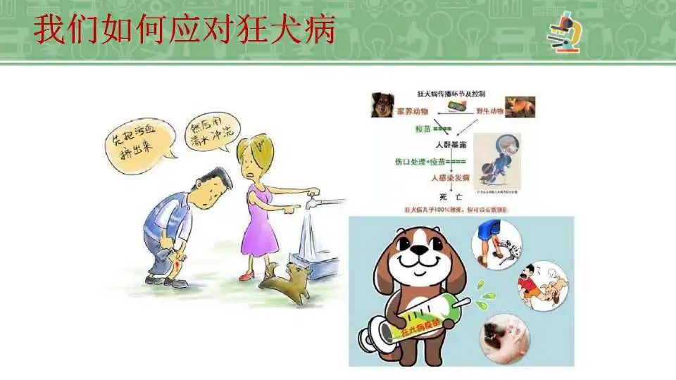 图片[8]-「云上」医疗小知识-氢创项目设计研究所