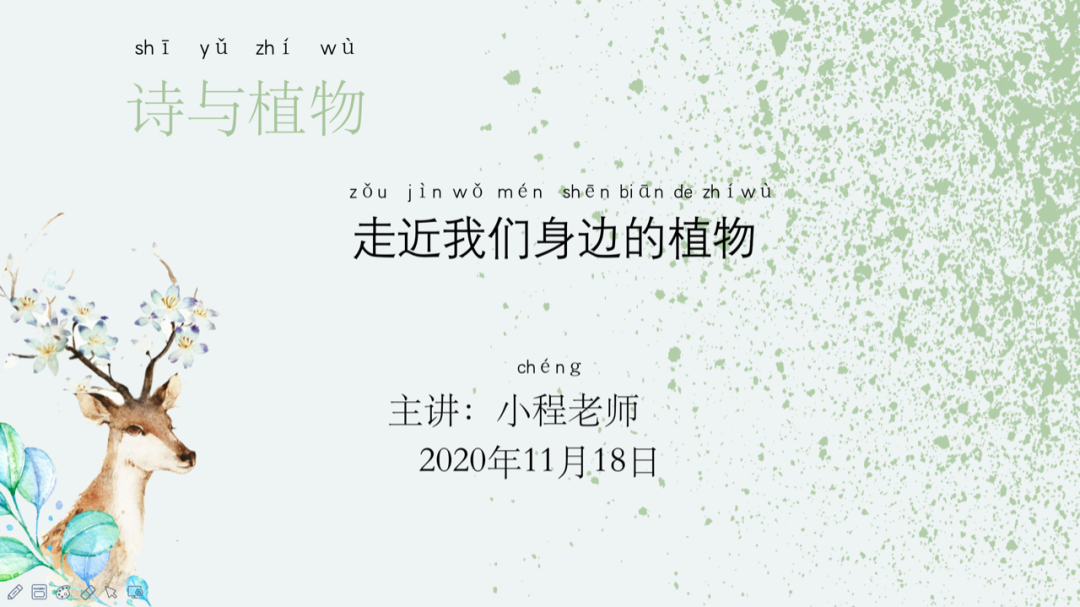 图片[3]-「云上」诗词里的植物之美-氢创项目设计研究所