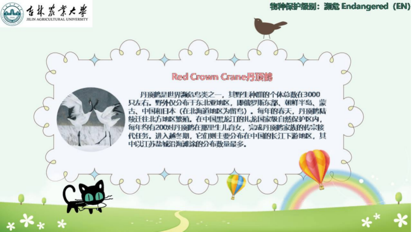 图片[12]-「云上」走进动物世界之动物与人-氢创项目设计研究所