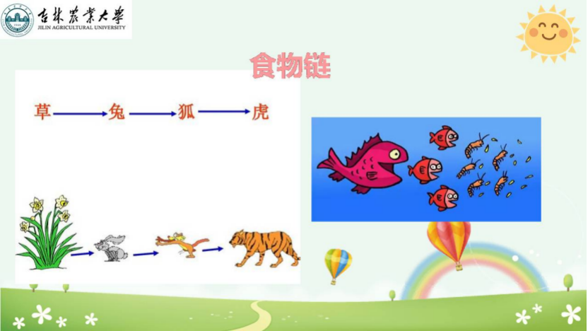 图片[20]-「云上」走进动物世界之动物与人-氢创项目设计研究所