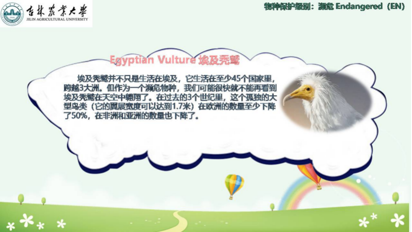 图片[15]-「云上」走进动物世界之动物与人-氢创项目设计研究所