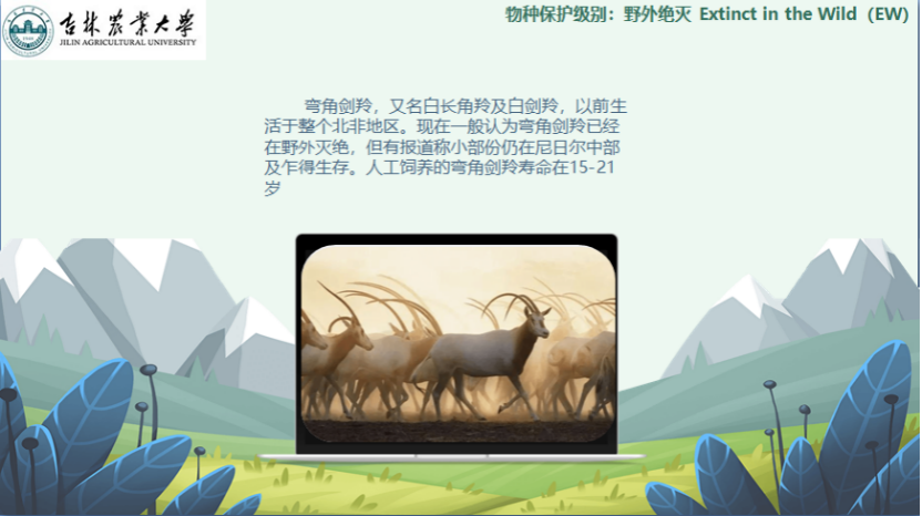 图片[6]-「云上」走进动物世界之动物与人-氢创项目设计研究所