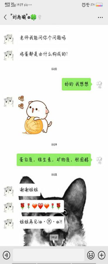 图片[14]-“情暖童心，乡伴同行”助学班两周纪实-氢创项目设计研究所