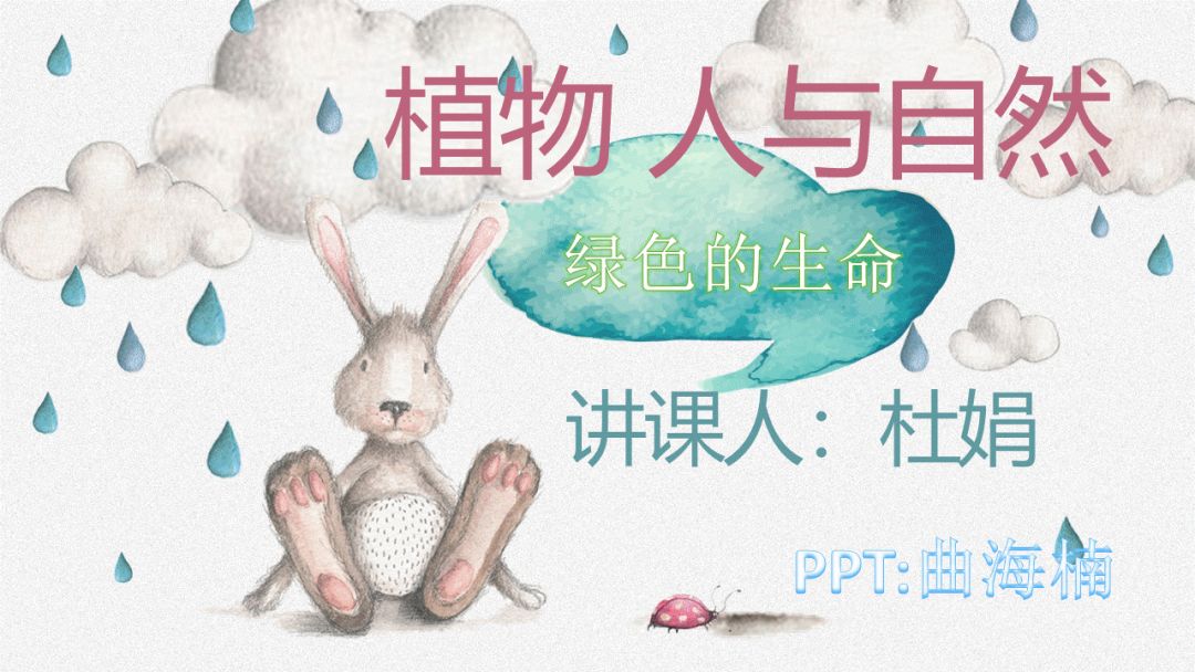 图片[3]-「云上」绿色的生命-氢创项目设计研究所