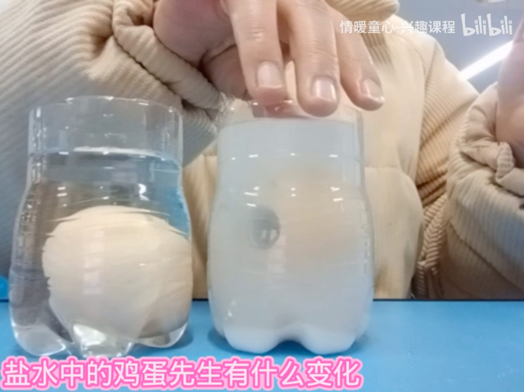 图片[6]-「云上」鸡蛋会“游泳”-氢创项目设计研究所