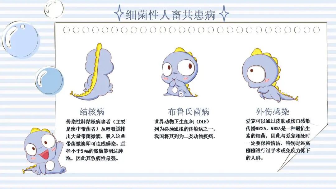 图片[3]-「云上」动物与疾病-氢创项目设计研究所