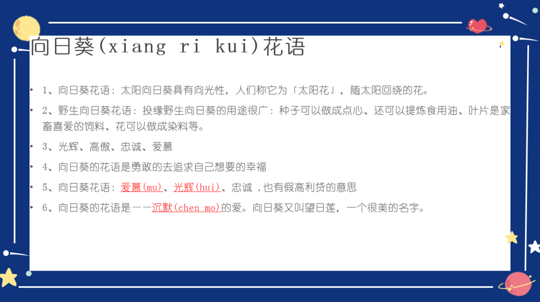 图片[9]-「云上」太阳花：向下扎根，向阳生长-氢创项目设计研究所