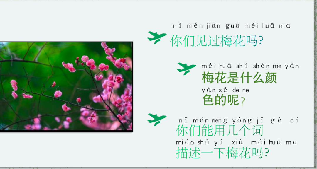 图片[8]-「云上」诗词里的植物之美-氢创项目设计研究所