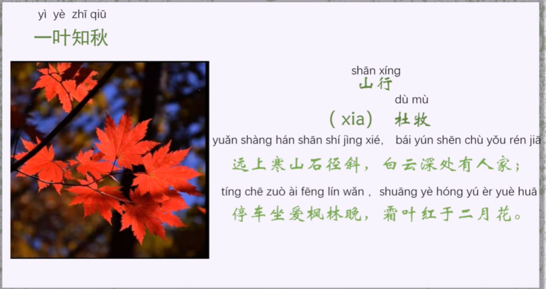 图片[7]-「云上」诗词里的植物之美-氢创项目设计研究所