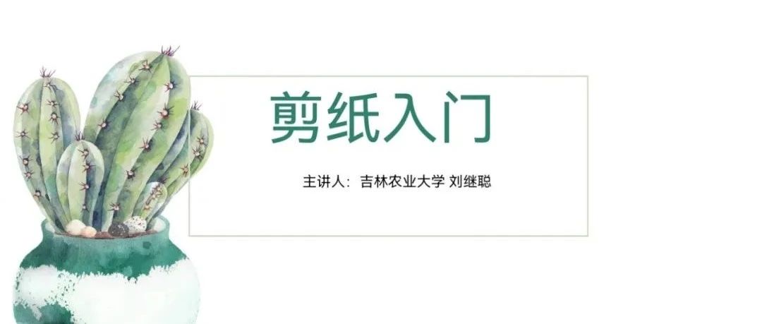 「云上」花影流剪纸-氢创项目设计研究所