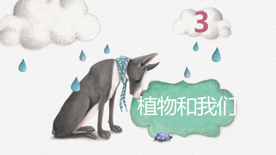 图片[11]-「云上」绿色的生命-氢创项目设计研究所