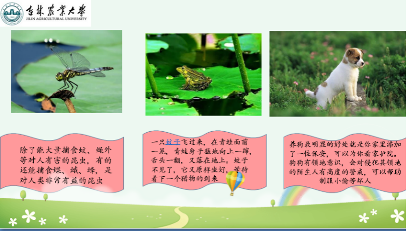 图片[4]-「云上」走进动物世界之动物与人-氢创项目设计研究所