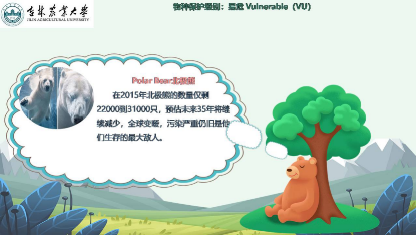 图片[17]-「云上」走进动物世界之动物与人-氢创项目设计研究所