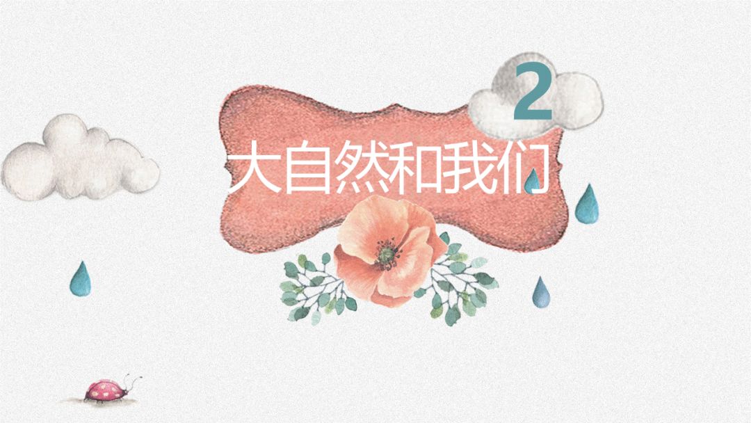图片[8]-「云上」绿色的生命-氢创项目设计研究所