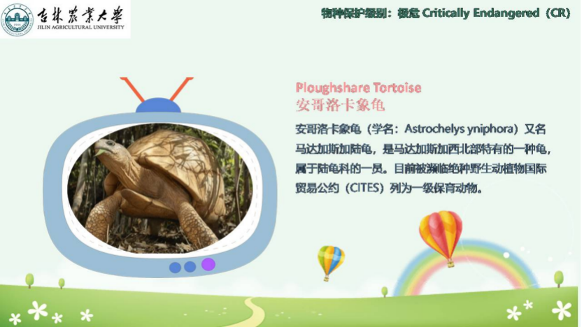 图片[9]-「云上」走进动物世界之动物与人-氢创项目设计研究所