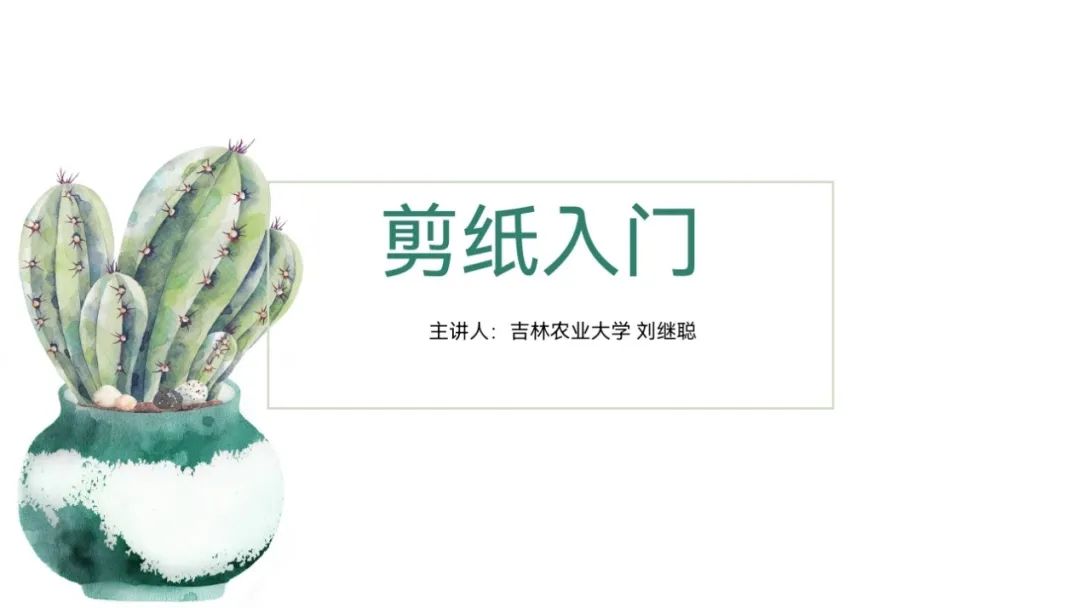 图片[2]-「云上」花影流剪纸-氢创项目设计研究所