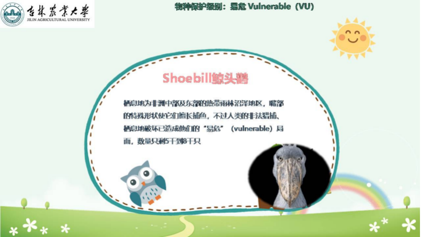 图片[18]-「云上」走进动物世界之动物与人-氢创项目设计研究所