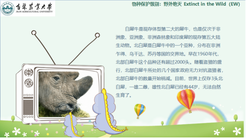 图片[5]-「云上」走进动物世界之动物与人-氢创项目设计研究所