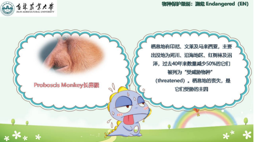 图片[14]-「云上」走进动物世界之动物与人-氢创项目设计研究所